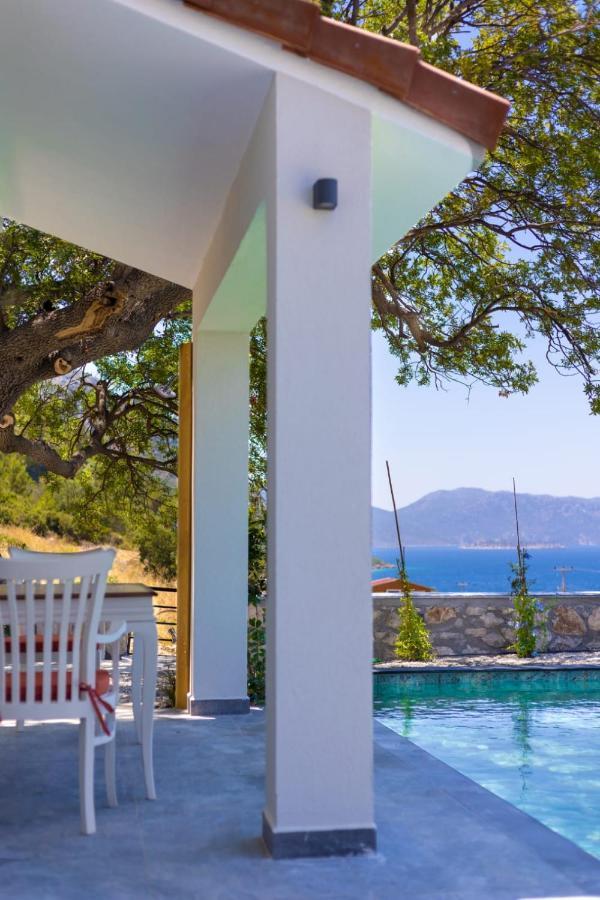 Villa Sakiz Soeguet'de Oezel Havuzlu Kiralik